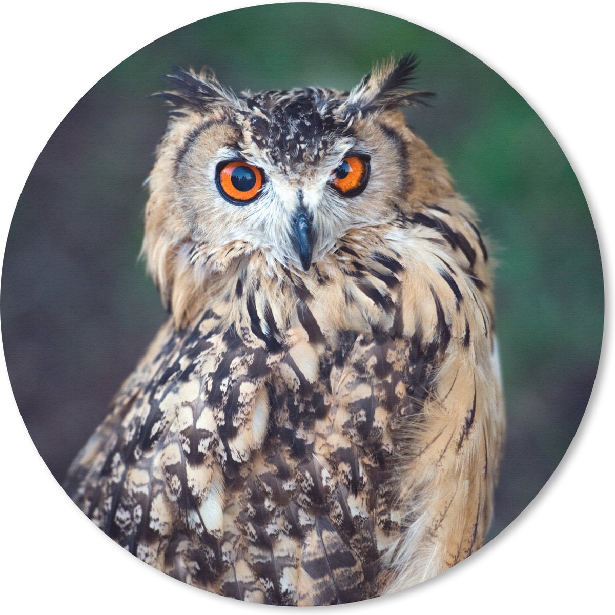 Muismat rond 20x20 cm - Mousepad Oehoe uil - Ronde muismatten