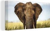 Canvas schilderij 160x80 cm - Wanddecoratie Afrikaanse olifant vooraanzicht - Muurdecoratie woonkamer - Slaapkamer decoratie - Kamer accessoires - Schilderijen