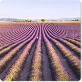 Muismat Klein - Lavendelvelden in het de Provence van Frankrijk - 20x20 cm