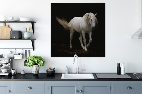 Cheval Wit devant une toile fond noir 2cm 90x90 cm - impression photo sur toile peinture Décoration murale salon / chambre à coucher) / Animaux sauvages Peintures Toile