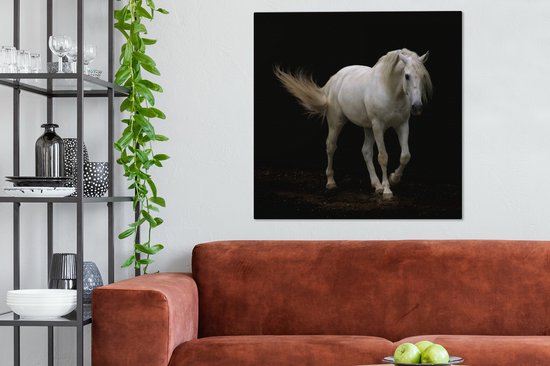Cheval Wit devant une toile fond noir 2cm 90x90 cm - impression photo sur toile peinture Décoration murale salon / chambre à coucher) / Animaux sauvages Peintures Toile