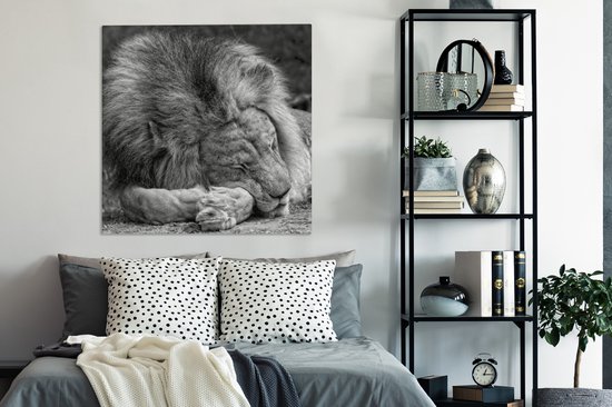 Toile de lion endormie 2cm 90x90 cm - Tirage photo sur toile (Décoration murale salon / chambre) / Peintures sur toile animaux sauvages