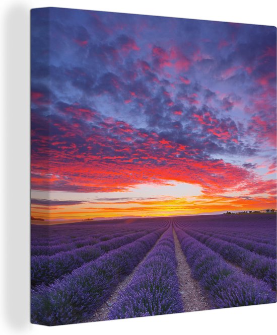 Lavendelveld onder zonsondergang Canvas 50x50 cm - Foto print op Canvas schilderij (Wanddecoratie woonkamer / slaapkamer)