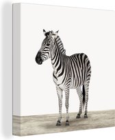 Canvasdoek kinderen - Canvas schilderij dieren - Zebra - Dieren - Safari - Wit - Muurdecoratie - Kinderen - Kinderkamer decoratie - 50x50 cm