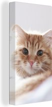 Schilderij kat - Oranje - Wit - Bed - Close up - Canvas kat - Katten schilderij - Wanddecoratie - 40x80 cm