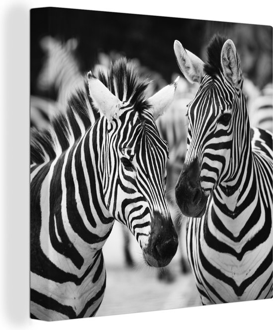 Canvas Schilderij Zebra zwart wit - 90x90 cm - Wanddecoratie