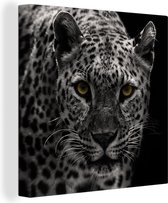 Canvas Schilderij Zwart-wit foto van een gekleurde luipaard - 50x50 cm - Wanddecoratie
