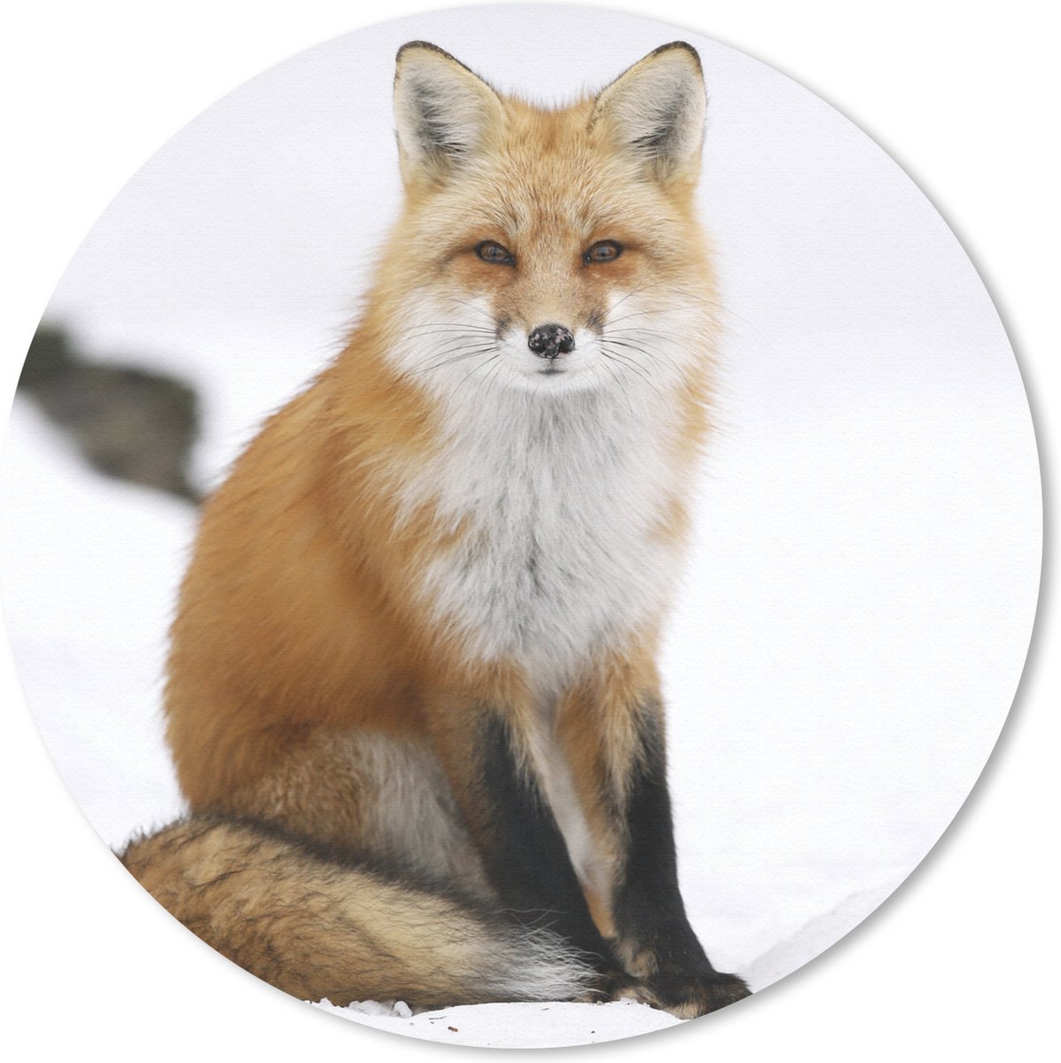 Muismat rond 40x40 cm - Mousepad Vos - Sneeuw - Winter - Ronde muismatten