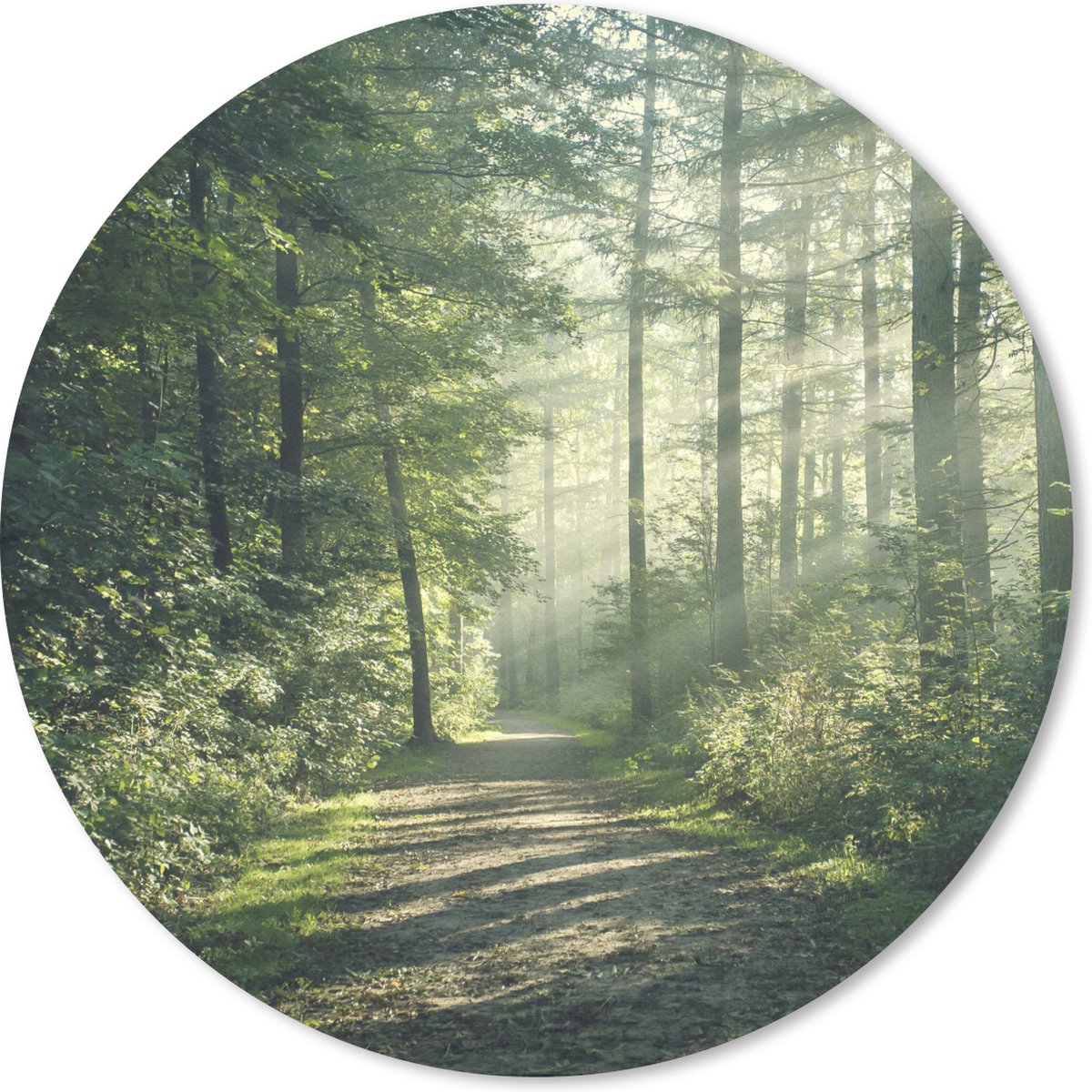 Muismat rond 20x20 cm - Mousepad Bos - Pad - Zon - Bomen - Groen - Natuur - Ronde muismatten