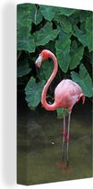 Canvas Schilderij Een flamingo staat in het ondiepe water - 20x40 cm - Wanddecoratie