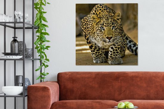Tableau Peinture Léopard - Prédateur - Portrait - 90x90 cm - Décoration murale
