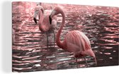 Canvas Schilderij Een groep flamingo's staat in het water - 40x20 cm - Wanddecoratie