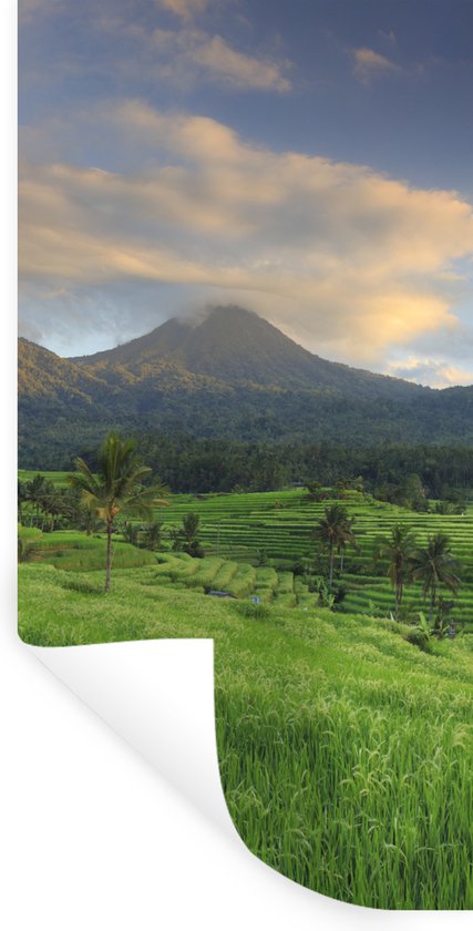 Stickers Stickers muraux - Rizières à Bali - 40x80 cm - Film adhésif