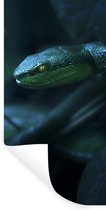 Stickers muraux - Serpent - Macro - Bois - 80x160 cm - Feuille adhésive