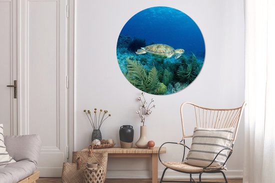 WallCircle - Peinture - Tortue De Mer Verte Bonaire Et - Multicolore - 140 X 140 Cm