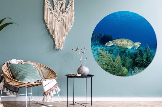 WallCircle - Peinture - Tortue De Mer Verte Bonaire Et - Multicolore - 140 X 140 Cm