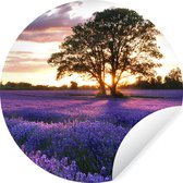 WallCircle - Muurstickers - Behangcirkel - De avondzonsondergang van de zomer over gebied van organische lavendel in Surrey, Engeland. - 50x50 cm - Muurcirkel - Zelfklevend - Ronde Behangsticker