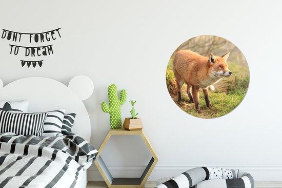 Papier Peint Cercle - Renard - Forêt - Lumière - 50x50 cm - Cercle Mural - Auto-Adhésif - Autocollant Papier Peint Rond