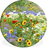 WallCircle - Wandcirkel - Muurcirkel - Siergras met verschillende bloemen - Aluminium - Dibond - ⌀ 60 cm - Binnen en Buiten