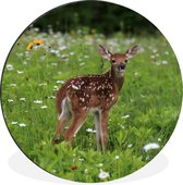 Cercle mural - Cercle mural - Cerf - Fleurs - Forêt - Aluminium - ⌀ 90 cm - Intérieur et extérieur