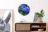 WallCircle - Wandcirkel ⌀ 30 - Close up blauwe hortensia bloemen - Ronde schilderijen woonkamer - Wandbord rond - Muurdecoratie cirkel - Kamer decoratie binnen - Wanddecoratie muurcirkel - Woonaccessoires