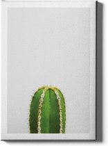 Walljar - Cactus II - Muurdecoratie - Canvas schilderij