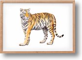 Poster tijger - A4 - mooi dik papier - Snel verzonden! - tropisch - jungle - dieren in aquarel - geschilderd door Mies