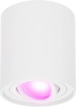 Homeylux® Smart Wifi LED Opbouwspot Wit Rond - 5,5W RGBWW - Dimbaar en Kantelbaar - Slimme Plafondspot Ray - Bedienbaar via Homeylux® App - Google Home en Amazon Alexa