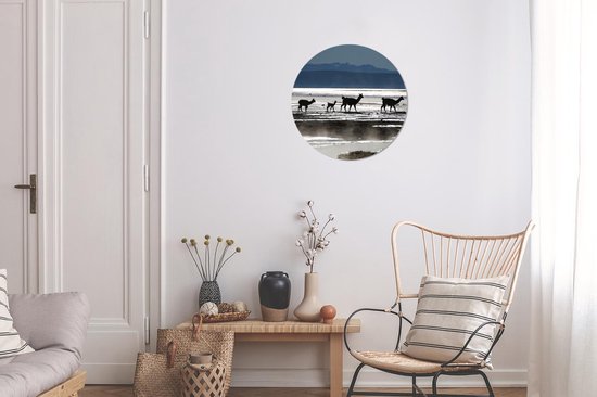 WallCircle - Wall Circle - Wall Circle - Alpagas - Water - Montagnes - Aluminium - Dibond - 30x30 cm - Intérieur et Extérieur