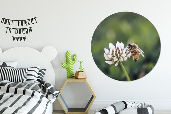 WallCircle - Wandcirkel - Muurcirkel - Bij - Insecten - Bloem - Aluminium - Dibond - ⌀ 120 cm - Binnen en Buiten XXL