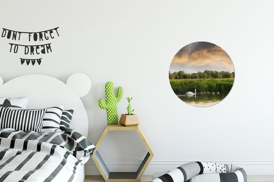 WallCircle - Cercle Mural - Cercle Mural - Cygnes - Water - Herbe - Aluminium - Dibond - 30x30 cm - Intérieur et Extérieur