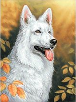 Wizardi Diamond Painting White Dog 30*40 cm Vierkante Steentjes