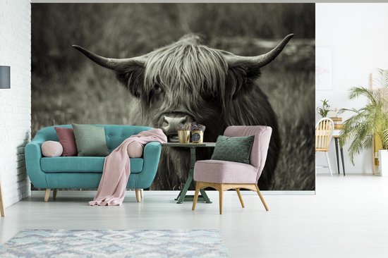 Papier peint - Papier peint photo Scottish Highlander - Portrait - Zwart - Wit - Largeur 360 cm x Hauteur 240 cm