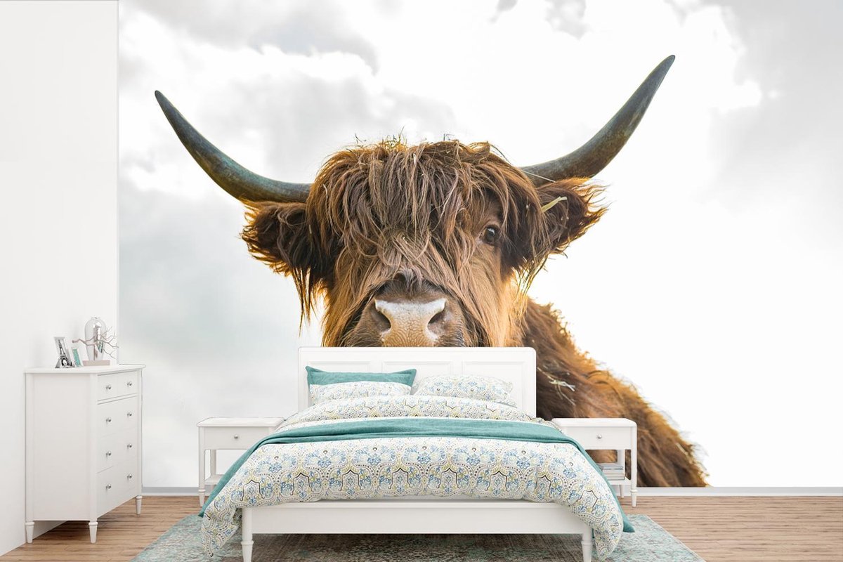 Behang - Fotobehang Schotse hooglander - Haar - Lucht - Breedte 420 cm x hoogte 280 cm
