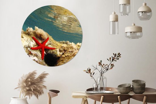 WallCircle - Wall Circle - Wall Circle Indoor - Étoile de Mer - Corail - Mer - 140x140 cm - Décoration murale - Peintures Ronds