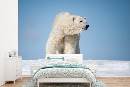 Behang - Fotobehang IJsbeer - Sneeuw - Wit - Breedte 360 cm x hoogte 240 cm  | bol
