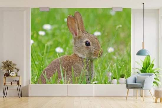 Papier Peint - Papier Papier peint photo Lapin - Fleurs - Herbe - Largeur 375 cm x Hauteur 300 cm