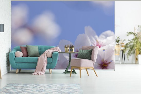 Papier peint photo vinyle - Gros plan d'une fleur de cerisier largeur 390 cm x hauteur 260 cm - Tirage photo sur papier peint (disponible en 7 tailles)