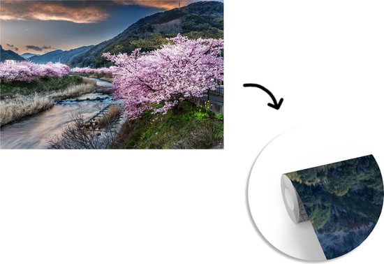 Papier peint Papier peint photo en vinyle - Cerisiers dans les montagnes largeur 600 cm x hauteur 400 cm - Tirage photo sur papier peint (disponible en 7 tailles)