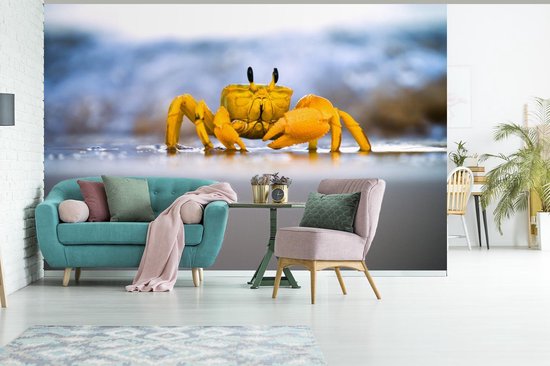 Papier peint photo peint photo vinyle - Crabe coloré sur le sable largeur 600 cm x hauteur 400 cm - Tirage photo sur papier peint (disponible en 7 tailles)