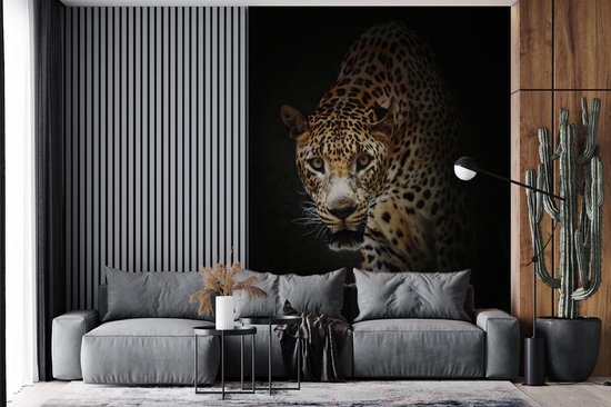 Papier peint photo peint photo vinyle - Léopard curieux sur fond noir largeur 190 cm x hauteur 260 cm - Tirage photo sur papier peint (disponible en 7 tailles)