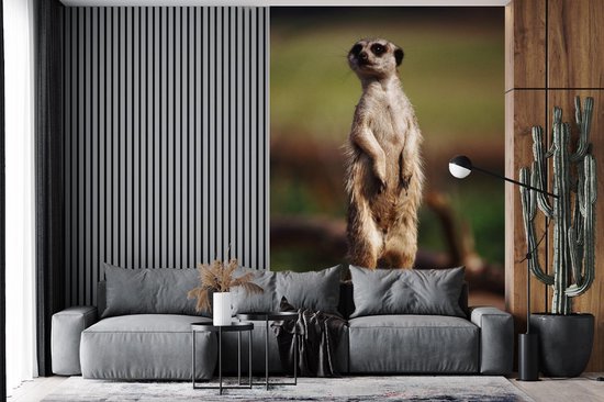 Papier peint - Papier peint photo Suricate - Animal - Sauvage - Largeur 180 cm x hauteur 280 cm