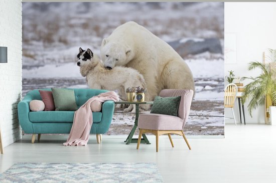 Amitié spéciale entre chien et ours polaire 360x240 cm