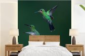 Behang - Fotobehang Vogels - Kolibrie - Groen - Breedte 220 cm x hoogte 240 cm
