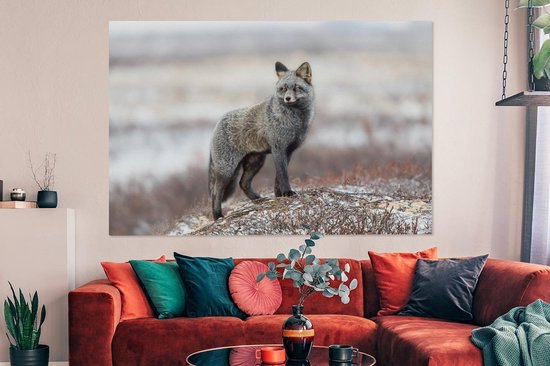 Renard gris dans un paysage enneigé 180x120 cm - Tirage photo sur toile (Décoration murale salon / chambre) / Animaux sauvages Peintures sur toile XXL / Groot format!