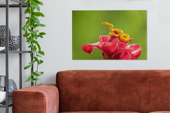 Petit serpent jaune fleur rouge 90x60 cm - impression photo sur toile peinture (Décoration murale salon / chambre à coucher) / Animaux sauvages Peintures Toile