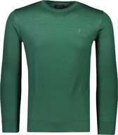 Polo Ralph Lauren  Trui Groen Getailleerd - Maat L - Heren - Herfst/Winter Collectie - Wol