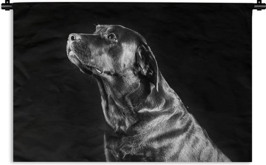 Wandkleed - Wanddoek - Bruine labrador op zwarte achtergrond - zwart wit - 60x40 cm - Wandtapijt