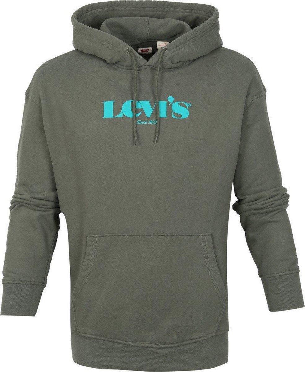 Levi's Graphic Core Hoodie Olijfgroen - maat M