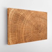 Canvas schilderij - Old wooden oak tree cut surface. Detailed warm dark brown and orange tones of a felled tree trunk or stump. Rough organic texture of tree rings with close up of end grain. -     1123527878 - 115*75 Horizontal